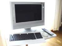 vaio