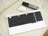 vaio