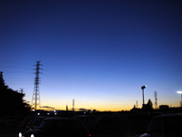 M's Collection c[O