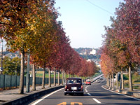 gt