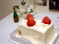 gbvX@Ԍ@䕂̃V[gP[L