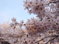 @F_Ђ̍