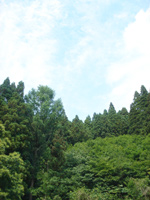 日立の山